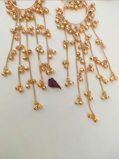 VIVAZS Kashmiri Long Drop Earrings (Pink and Mint)