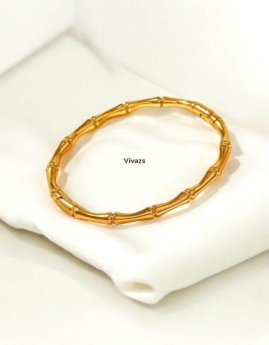 VIVAZS 18K GOLD PVD PLATED Hinged Bangle Bracelet